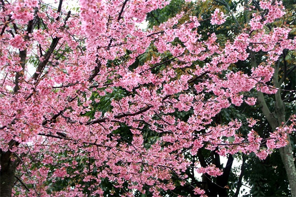 Preview Image 1