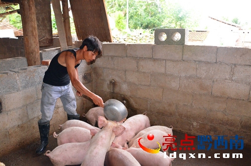 <a href=http://m.granfondonewengland.com/news/zhenfeng/ target=_blank class=infotextkey>ؑSh</a>(zhn)l(xing)B(yng)i¸DƬf.jpg
