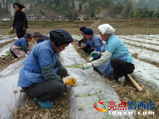 ˂ڼr۵ă(yu)|(zh)[111.jpg