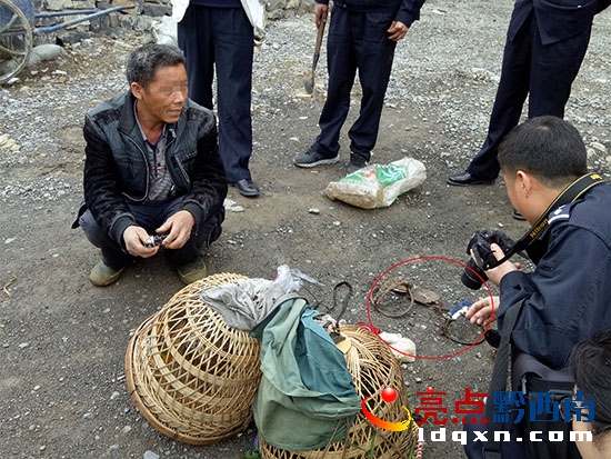 森林公安現(xiàn)森林公安現(xiàn)場查獲野生雉雞和狩獵工具.jpg